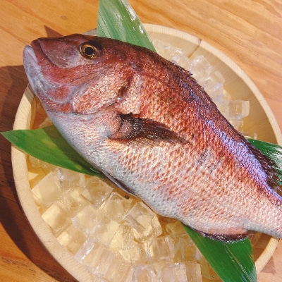 沼津産　鯛しゃぶ&鯛だしセット