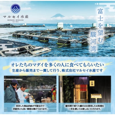 トロのような脂ノリ!沼津産さしみ用マダイ(皮引き柵)約130g×2袋