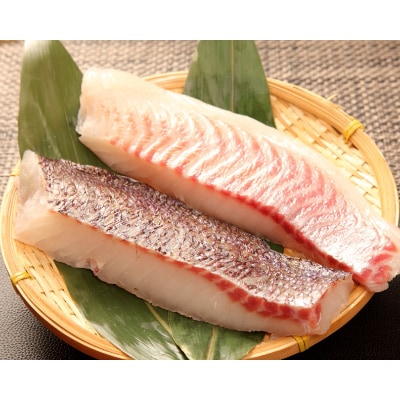 トロのような脂ノリ!沼津産さしみ用マダイ(皮引き柵)約130g