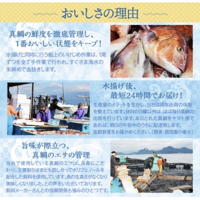 沼津産　マダイのひもの10袋