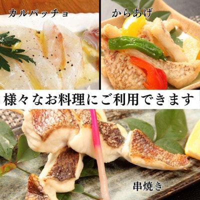 トロのような脂ノリ!沼津産真鯛　お刺身(皮目湯引き　柵皮)約130g×10袋
