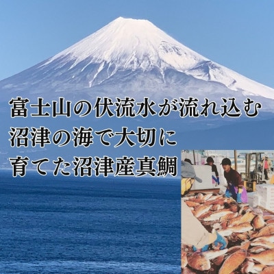 トロのような脂ノリ!沼津産真鯛　お刺身(皮目湯引き　柵皮)約130g×10袋