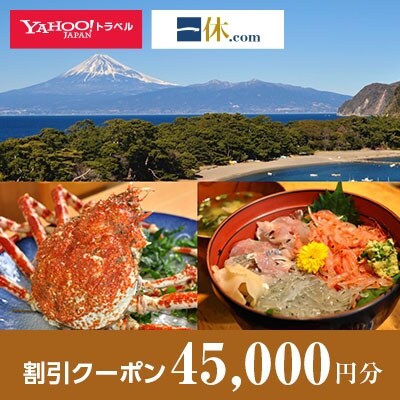【静岡県沼津市】一休.com・Yahoo!トラベル割引クーポン(45,000円分)