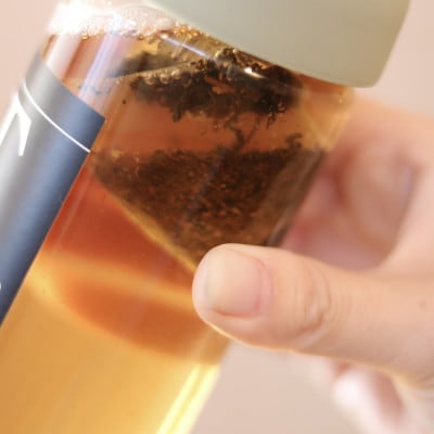 沼津産　和紅茶 ティーバッグ(3g×10包)×3袋　合計30包