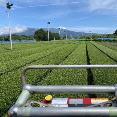 沼津緑茶(50g) ×3パック 合計150g