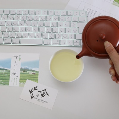 するがの風(Ver.新茶) 100g×3袋