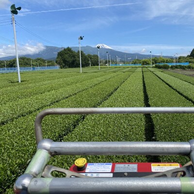 するがの風(Ver.新茶) 100g×3袋