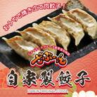 ざぶ～んの自家製餃子　50個(1pc/10個入×5pc)