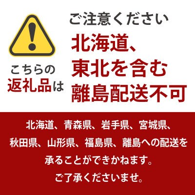 <2025年2月上旬より順次発送>訳あり 寿太郎 みかん 2.5kg 産地直送 柑橘 沼津 西浦
