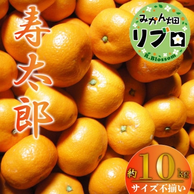 <2025年2月上旬より順次発送>訳あり 寿太郎 みかん 10kg 産地直送 柑橘 沼津 西浦