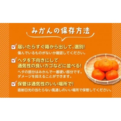 極早生 由良 みかん 約 5kg 産地直送