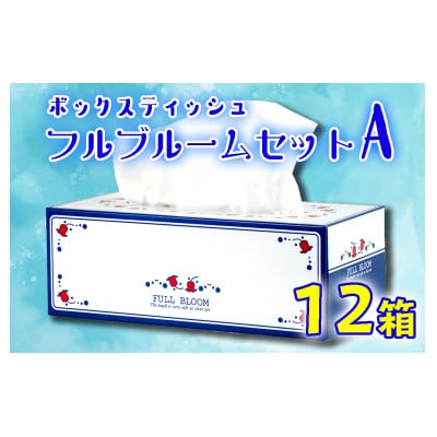 ティッシュ ペーパー ボックス 12箱 柔らかめ
