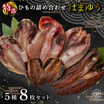 干物 厳選セット 5種 8枚 はまゆう