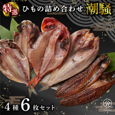 干物 厳選セット 4種 6枚 潮騒