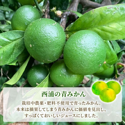 果汁100% 青みかんストレートジュース 500ml×2本
