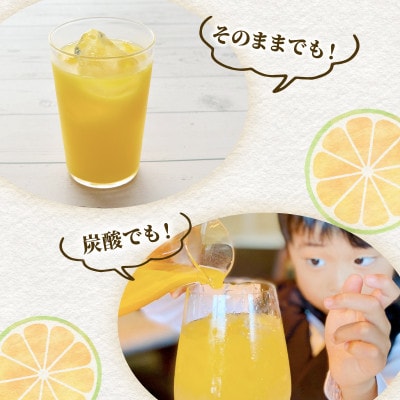 果汁100% 青みかんストレートジュース 500ml×2本