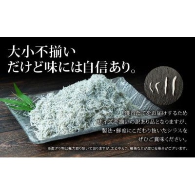 【訳あり】釜揚げ しらす 500g×2パック 計1kg 小分け 冷凍