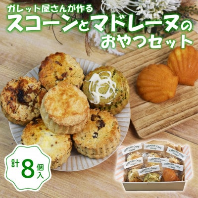 スコーン6種とマドレーヌ2個 おやつセット 洋菓子詰め合わせ