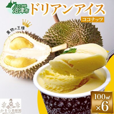 ドリアン ココナッツ アイスクリーム 100ml 6個 セット かをり果樹園 静岡県 沼津市