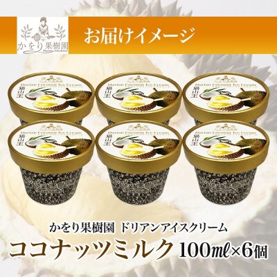 ドリアン ココナッツ アイスクリーム 100ml 6個 セット かをり果樹園 静岡県 沼津市