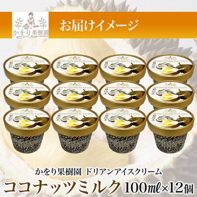 ドリアン ココナッツ アイスクリーム 100ml 12個 セット かをり果樹園 静岡県 沼津市