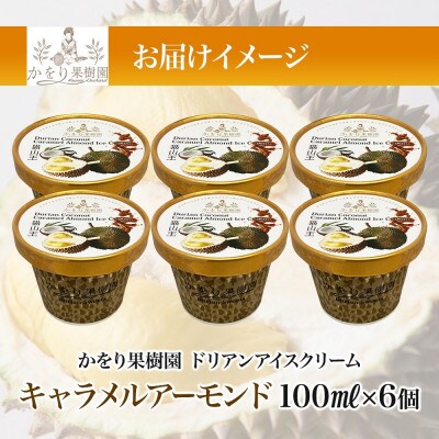 ドリアン ココナッツ キャラメルアーモンドアイスクリーム 100ml 6個 セット 静岡県 沼津市