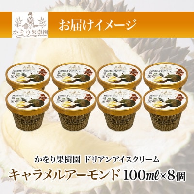 ドリアン ココナッツ キャラメルアーモンドアイスクリーム 100ml 8個 セット 静岡県 沼津市
