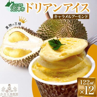 ドリアン ココナッツ キャラメルアーモンドアイスクリーム 122ml 12個 セット 静岡県 沼津市