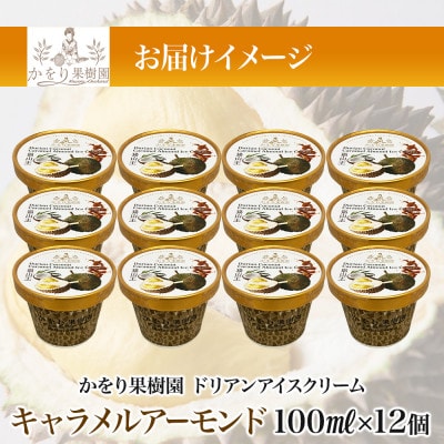ドリアン ココナッツ キャラメルアーモンドアイスクリーム 100ml 12個 セット 静岡県 沼津市