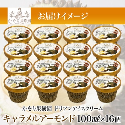 ドリアン ココナッツ キャラメルアーモンドアイスクリーム 100ml 16個 セット 静岡県 沼津市