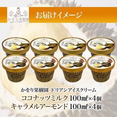 ドリアンアイスクリーム 2種 計8個 セット ココナッツ キャラメル かをり果樹園 静岡県 沼津市