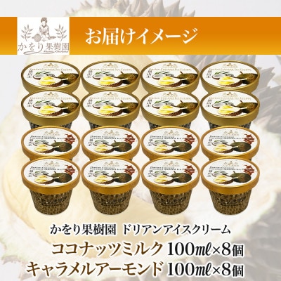 ドリアンアイスクリーム 2種 計16個 セット ココナッツ キャラメル かをり果樹園 静岡県 沼津市