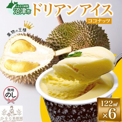 無地熨斗 ドリアン ココナッツ アイスクリーム 6個 セット かをり果樹園 静岡県 沼津市