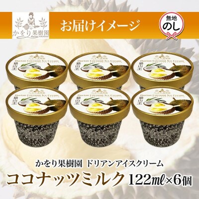 無地熨斗 ドリアン ココナッツ アイスクリーム 6個 セット かをり果樹園 静岡県 沼津市