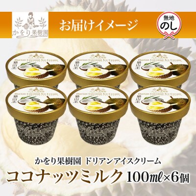 無地熨斗 ドリアン ココナッツ アイスクリーム 6個 セット かをり果樹園 静岡県 沼津市
