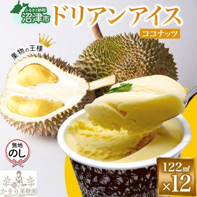 無地熨斗ドリアン ココナッツ アイスクリーム 12個 セット かをり果樹園 静岡県 沼津市