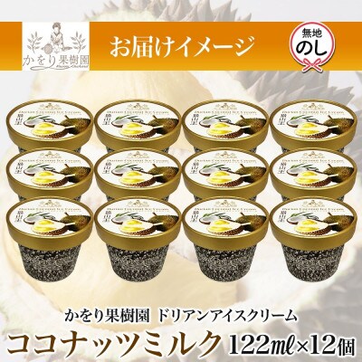 無地熨斗ドリアン ココナッツ アイスクリーム 12個 セット かをり果樹園 静岡県 沼津市