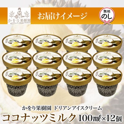 無地熨斗ドリアン ココナッツ アイスクリーム 12個 セット かをり果樹園 静岡県 沼津市