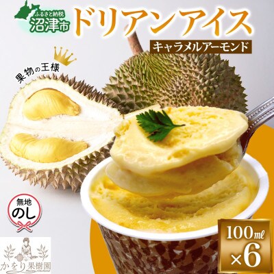 無地熨斗 ドリアン キャラメルアーモンドアイスクリーム 6個 セット かをり果樹園 静岡県 沼津市