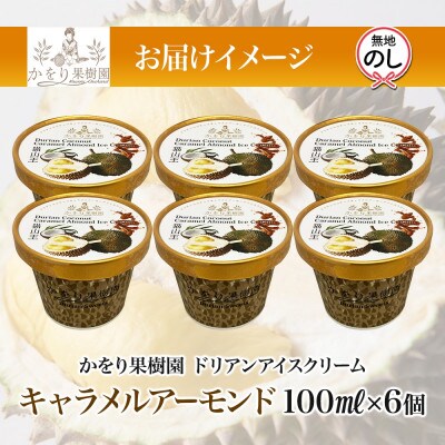 無地熨斗 ドリアン キャラメルアーモンドアイスクリーム 6個 セット かをり果樹園 静岡県 沼津市