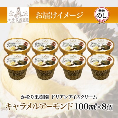 無地熨斗 ドリアン キャラメルアーモンドアイスクリーム 8個 セット かをり果樹園 静岡県 沼津市