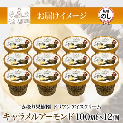 無地熨斗 ドリアン キャラメルアーモンドアイスクリーム 12個 セット かをり果樹園 静岡県 沼津市