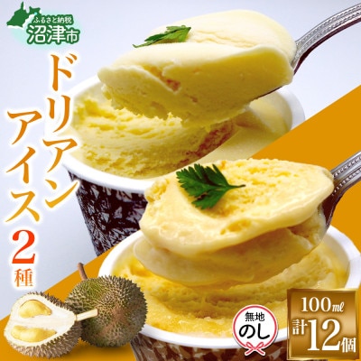 無地熨斗 ドリアンアイスクリーム 2種計12個 ココナッツ キャラメル かをり果樹園 静岡県 沼津市