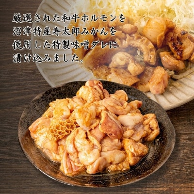 和牛 ミックス ホルモン 味噌ダレ 1.2kg 300g 4パック