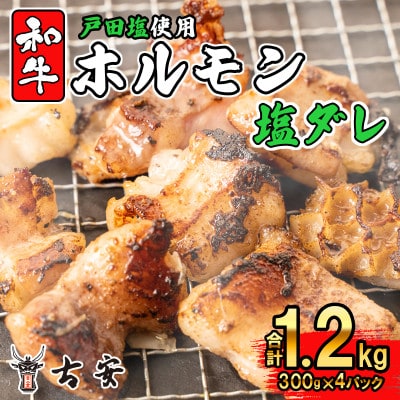 和牛 ミックス ホルモン 戸田 塩ダレ 1.2kg 300g 4パック