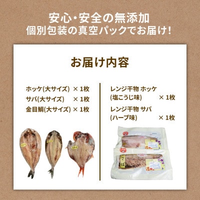 干物 厳選5種セット