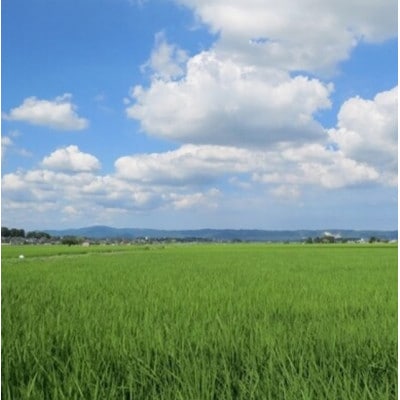 【毎月定期便】黄門米特別栽培米コシヒカリ白米5kg×1袋全6回