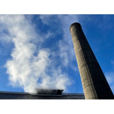 松盛　本醸造　干支ボトル(720ml入り1個)