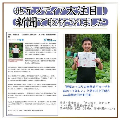 無添加野菜を使用したなごみ家 冷凍生餃子 52個(にんにく3倍 13個入り×4パック)　