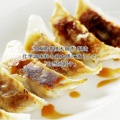 無添加野菜を使用したなごみ家 冷凍生餃子52個(にんにくあり&にんにく不使用13個入り×各2パック)